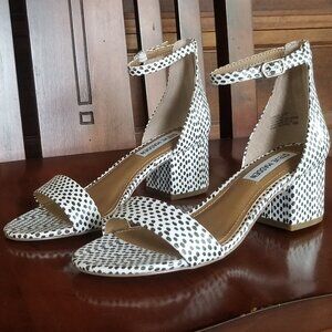 NWOT Steve Madden Heels
